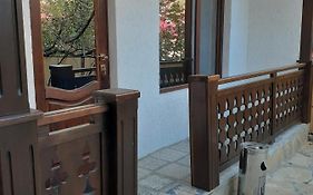 Apartment Borjomi, Erekle Street, 21A